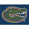 University Of Florida 4x6 Spirit Rug