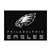 Philadelphia Eagles 4x6 Chrome Rug