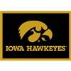 University Of Iowa 8x11 Spirit Rug