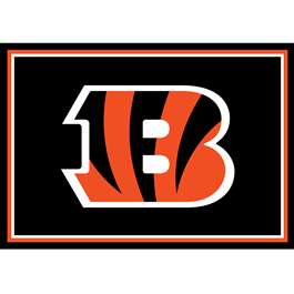 Cincinnati Bengals 3x4  Area  Rug