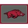 University Of Arkansas 3x4  Area  Rug