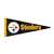 Pittsburgh Steelers Wood Pennant