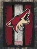 Arizona Coyotes 24 x 32 Canvas Wall Art