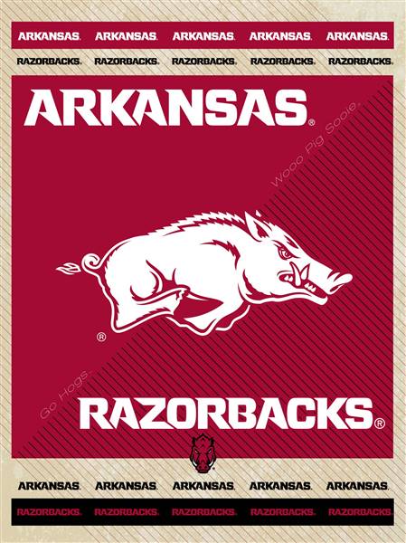 University of Arkansas 15x20 inches Canvas Wall Art