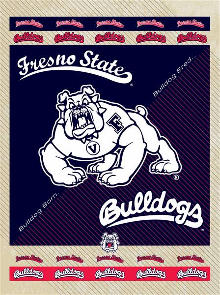 Fresno State University 15x20 inches Canvas Wall Art