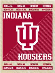 Indiana University 15x20 inches Canvas Wall Art