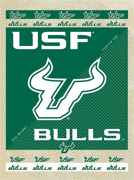 University of South Florida 15x20 inches Canvas Wall Art