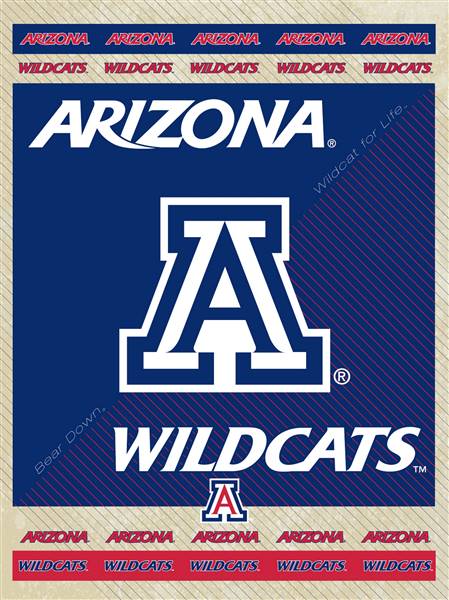 University of Arizona 24x32 Canvas Wall Art