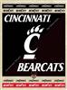 University of Cincinnati 24x32 Canvas Wall Art