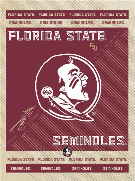 Florida State University 24x32 Canvas Wall Art