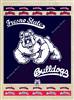 Fresno State University 24x32 Canvas Wall Art