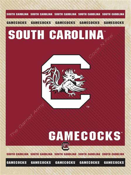 University of South Carolina 24x32 Canvas Wall Art