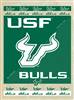 University of South Florida 24x32 Canvas Wall Art