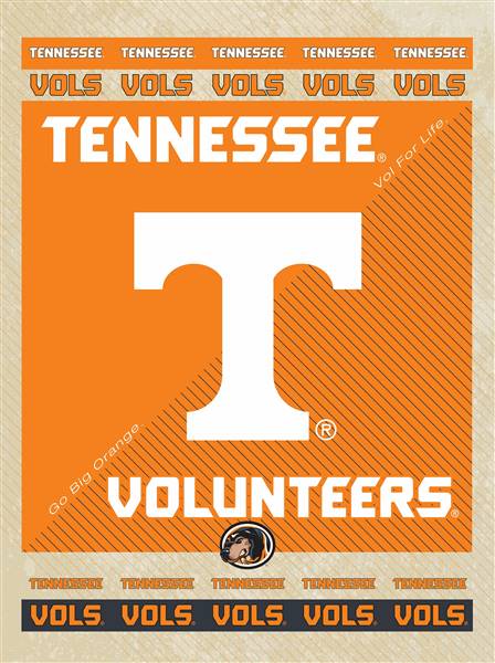 University of Tennessee 24x32 Canvas Wall Art