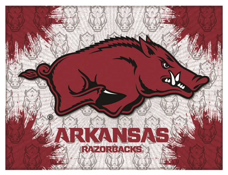 University of Arkansas 15x20 inches Canvas Wall Art