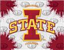 Iowa State University 15x20 inches Canvas Wall Art