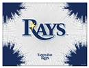 Tampa Bay Rays 15 X 20 inch inch Canvas Wall Art