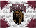 University of Montana 15x20 inches Canvas Wall Art