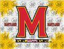 University of Maryland 15x20 inches Canvas Wall Art