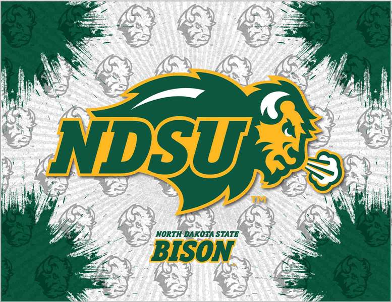 North Dakota State University 15x20 inches Canvas Wall Art