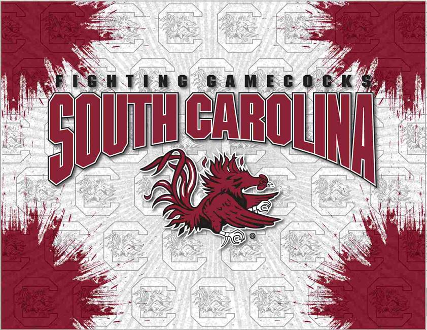 University of South Carolina 15x20 inches Canvas Wall Art