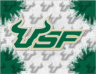 University of South Florida 15x20 inches Canvas Wall Art