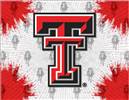 Texas Tech University 15x20 inches Canvas Wall Art