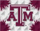 Texas A&M 15x20 inches Canvas Wall Art