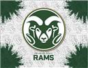 Colorado State University 24x32 Canvas Wall Art