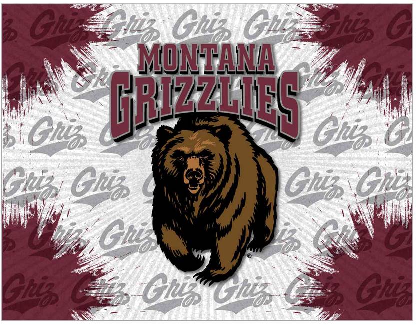 University of Montana 24x32 Canvas Wall Art