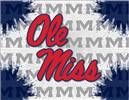 University of Mississippi 24x32 Canvas Wall Art