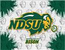 North Dakota State University 24x32 Canvas Wall Art