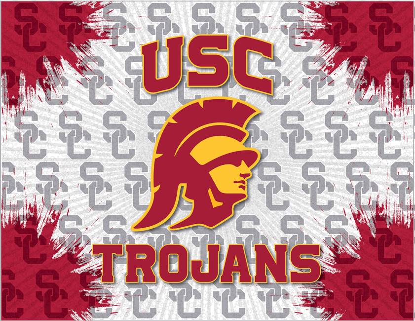 University of Southern California 24x32 Canvas Wall Art