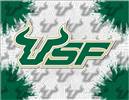 University of South Florida 24x32 Canvas Wall Art