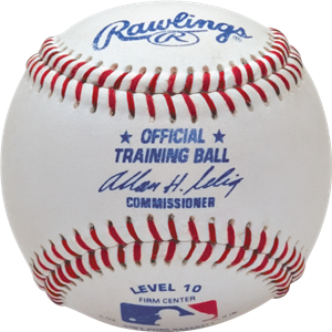 Rawlings Level 10 Polyeurethane Firm Center Ages (10 and up) Training Baseballs (1 Dozen Balls)
