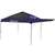 Baltimore Ravens Canopy Tent 10 X 10 with Pop Up Side Wall - Includes a Carry Bag - Rawlings      