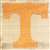 University of Tennessee Volunteers String Art Kit