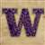 University of Washington Huskies String Art Kit  