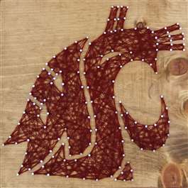 Washington State University Cougars String Art Kit