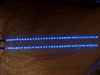 Blue 24" SMD LED Light Strips