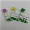 Adiponectin /Acrp30 Full Length (Human) Recombinant