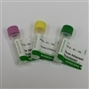 Anti Human IL-1F6 lgG Biotinylated