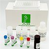 BMP8B  Pro Human ELISA Kit