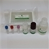 Mouse Soluble CD115