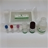 Galectin-3 (Human) ELISA Kit (960T)