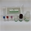Surfactant Protein D (PSPD) (Mouse) ELISA Kit