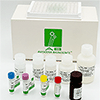 Human Serum Albumin ELISA Kit