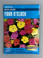 Cornucopia Mixed Colors Four O'Clock