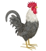 Regal Murray Rooster