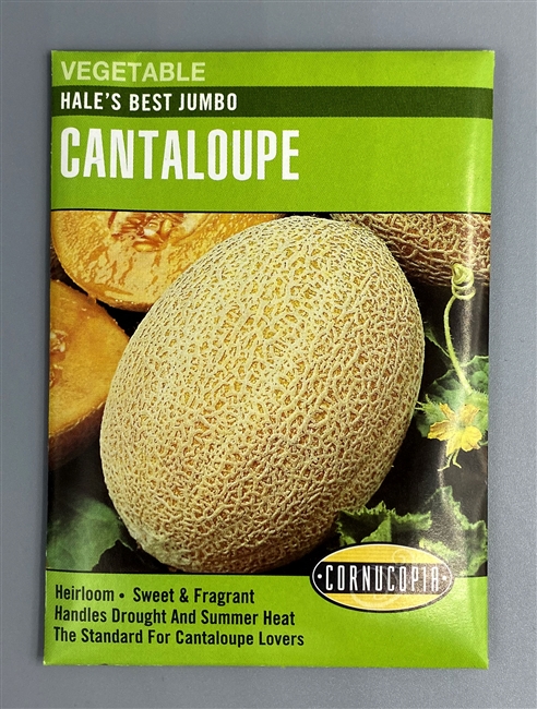 Cornucopia Hales Best Jumbo Cantaloupe